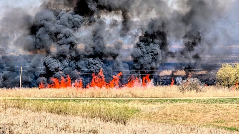 Multiple crews respond to LeSueur County grass fire