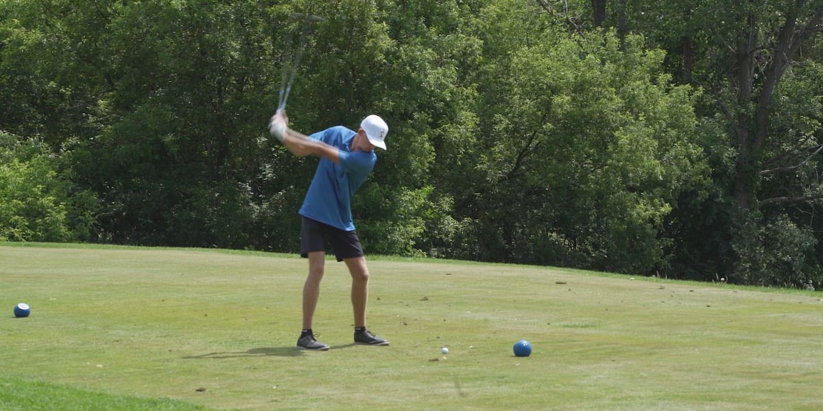 Area golfers shine at state competition