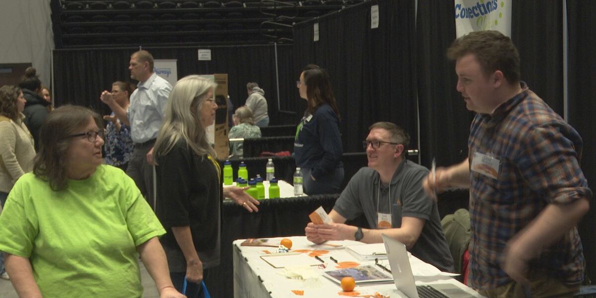 Project Community Connect draws hundreds to downtown Mankato