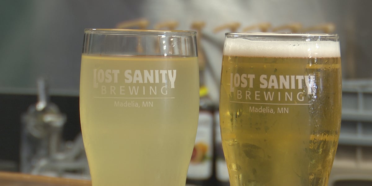 Lost Sanity Brewing gives away free beers at Park Days to support Madelia Health