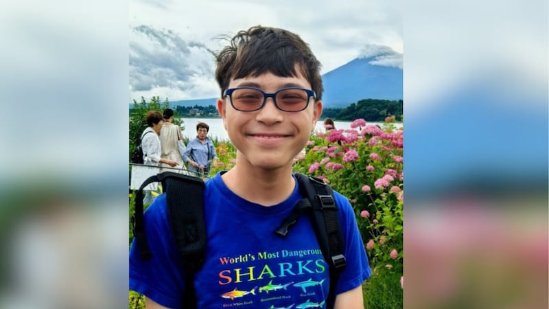 Thomas Medlin, 15, went missing after traveling into Manhattan from his Long Island,