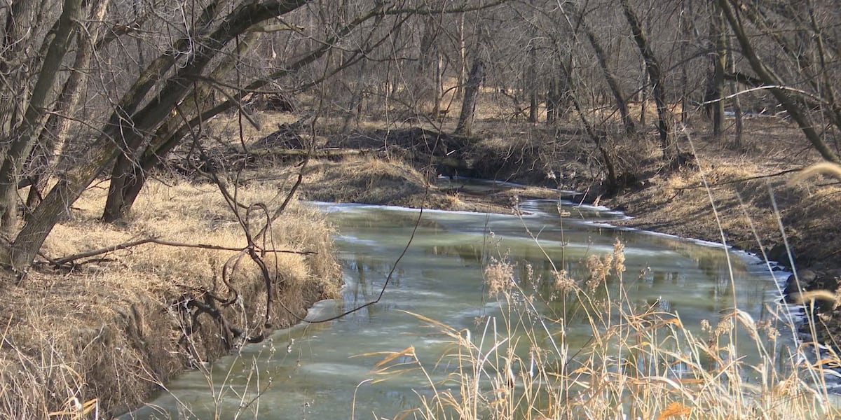 Local Waterways Local waterways subject to pollution, erosion studies