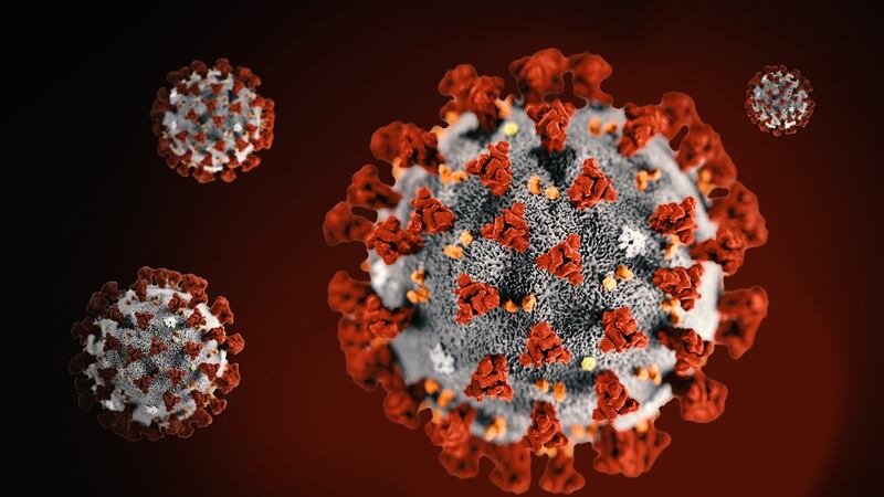 Minnesota health officials said the state has its first confirmed case of coronavirus.